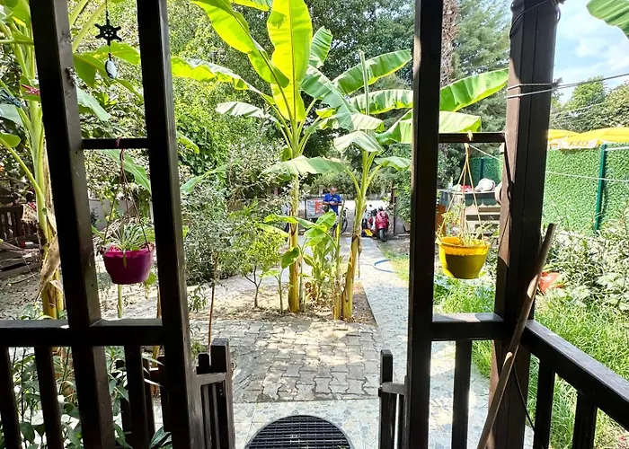 Balim Koycegiz (Mugla)