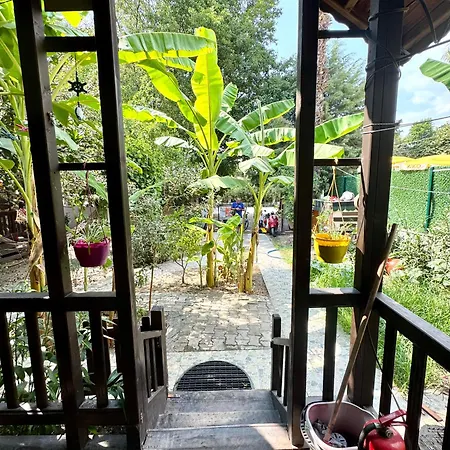 Balim Koycegiz (Mugla)