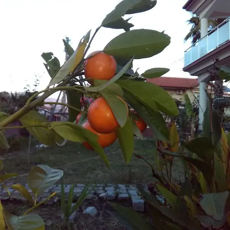 빌라 Balim Koycegiz (Mugla)